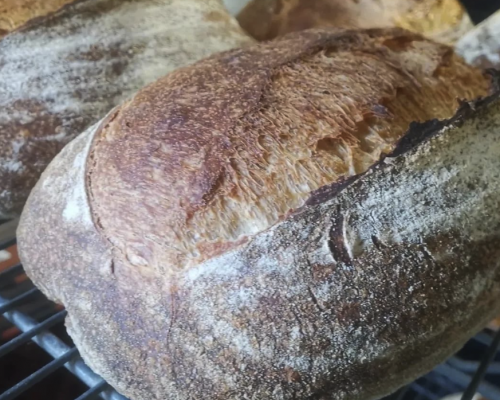 Fresh sourdough bread from The Bake Hub Liverpool