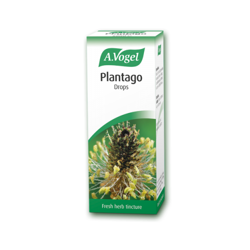 A.Vogel Plantago Drops (50ml)